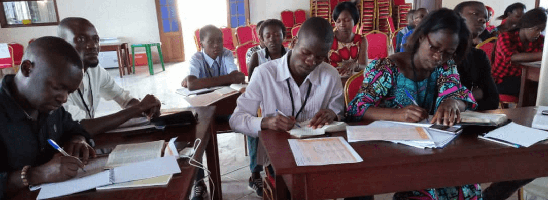 alt Vue partielle participants Assemblée Provinciale Nord Kivu 2018