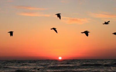 Engagés pour l&rsquo;évangélisation