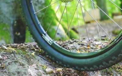 Entre volonté et obstacles